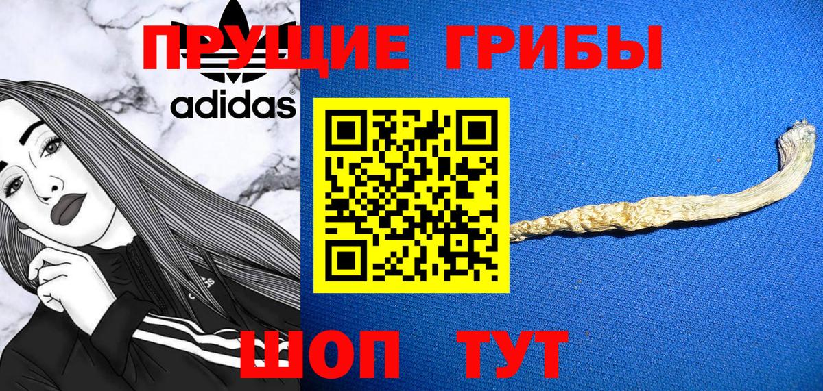 Псилоцибиновые грибы прущие грибы  Псилоцибиновые грибы Psilocybine cubensis  что такое   Вязники  Вход с VPN 
